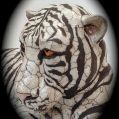 tigre blanc-Emmanuelle Not