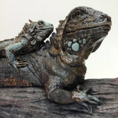 sculpture iguanes-Emmanuelle Not
